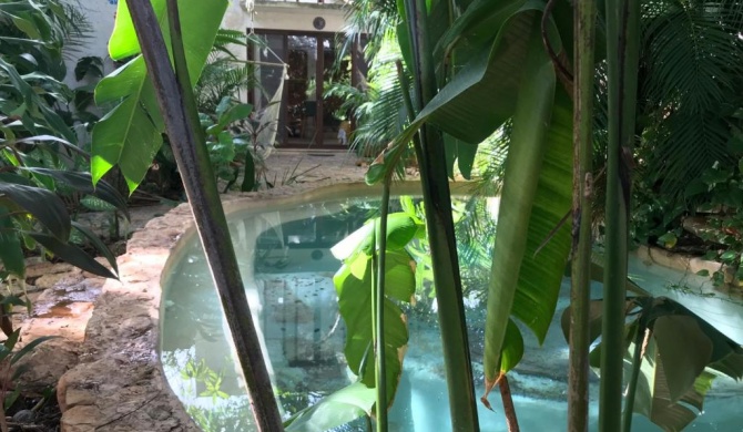 Tropical Cenote Loft North City 420