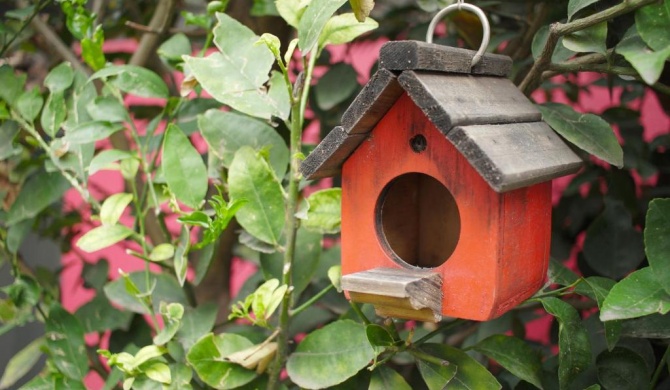 Colibrí B&B