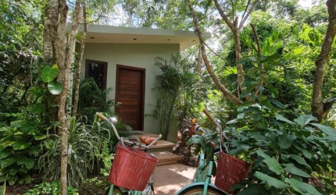 Secret Gardens Bacalar Suite 02 con alberca y bicicletas