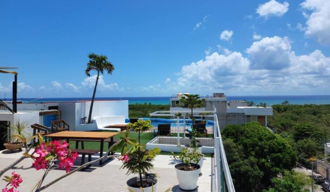 AMAZING rooftop with ocean view, Apartment 401