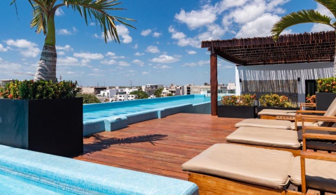 MOMA by Playa District - Excellent Location - Rooftop Pool