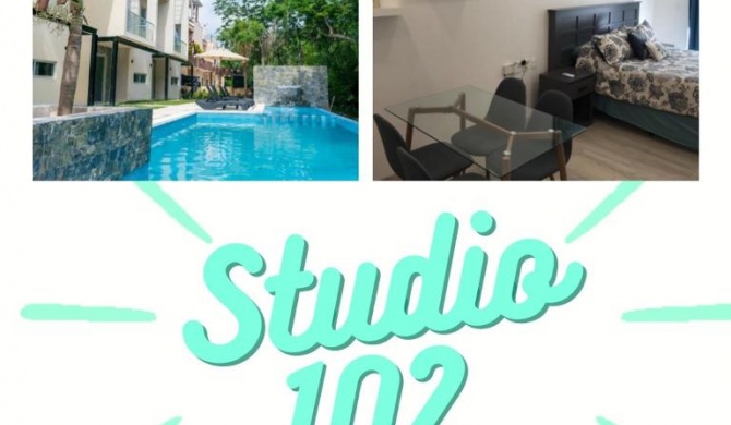 STUDIO 102 Puerto Aventuras private complex with swimming pool