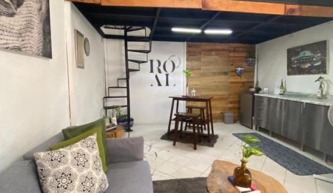 Loft Altamirano