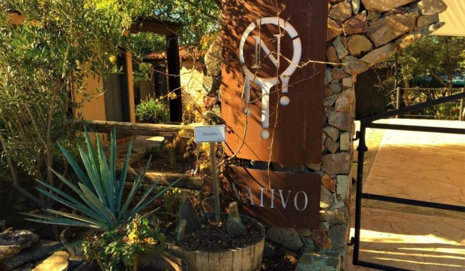 Casa Nativo - The Heart of the Vineyard