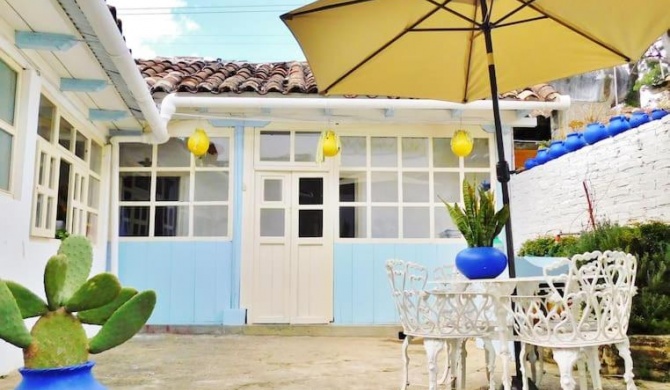 Casa Azul -Artistic for Digital Nomad-Garden