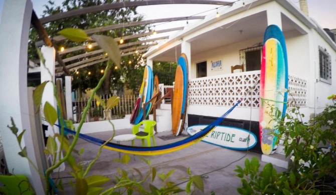 Surf Hostel Cabo "The Riptide"