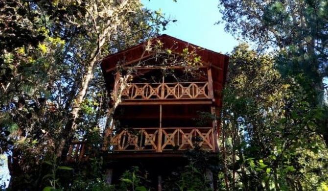 Cabaña en el Bosque de San José del Pacífico 3