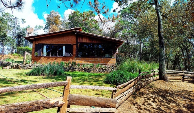 Cabaña en medio del bosque ZA