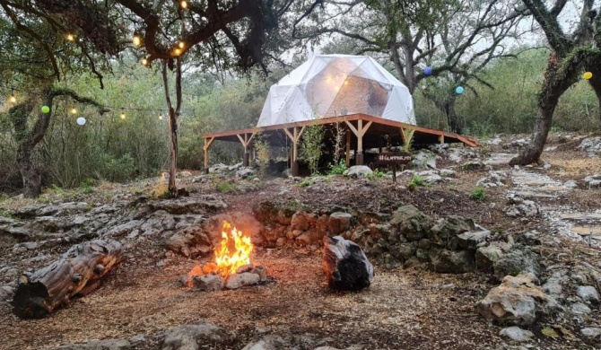 Domus Glamping Monterrey