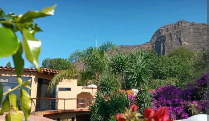 Acogedora habitación con baño, jardín. Muy céntrica.