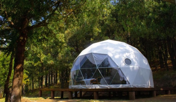 Cool Glamping La aventurosa