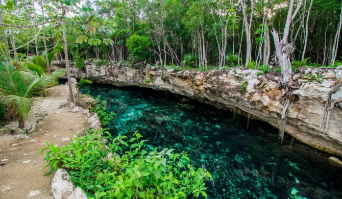 Cenotes Casa Tortuga Tulum