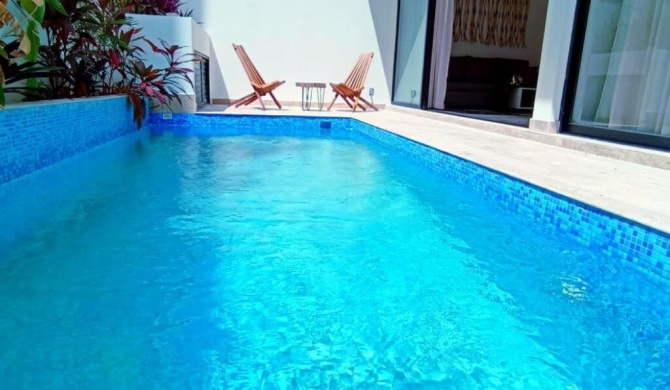 Incredible 1 bedroom Plunge Pool Elena