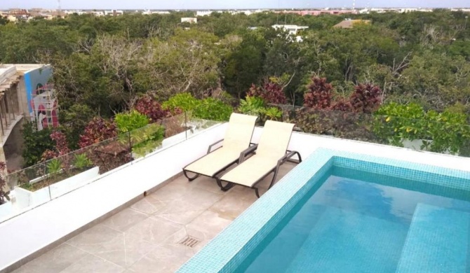 Private Roof w Plunge Pool Brand New 2 Br Penthouse for 6 sleeps