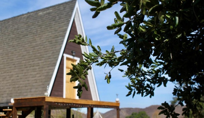 Árbol de la Vida Glamping Valle de Guadalupe