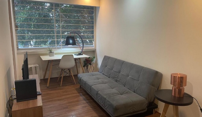 C1 Amazing cozy apartment in Condesa