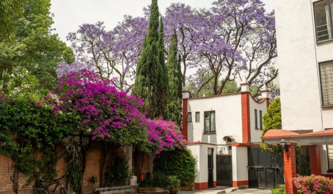 Viva Coyoacan