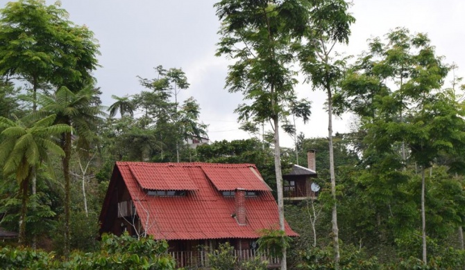 Cabañas los Cedros