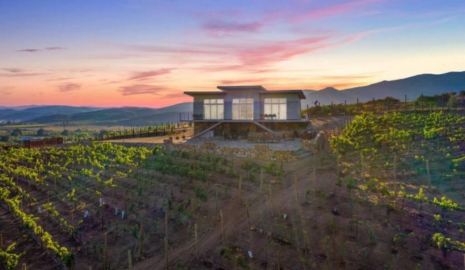 Buena Vista Valle de Guadalupe