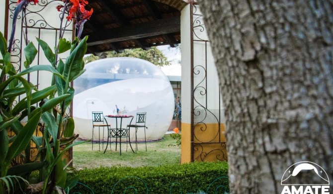 Glamping Amate - Hotel Burbuja Tlaxcala