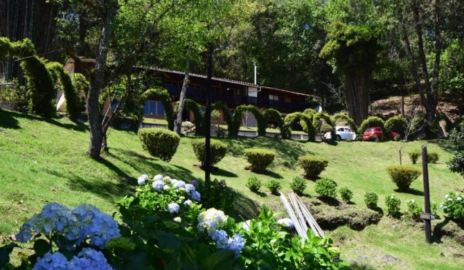 Campestre DAARLU