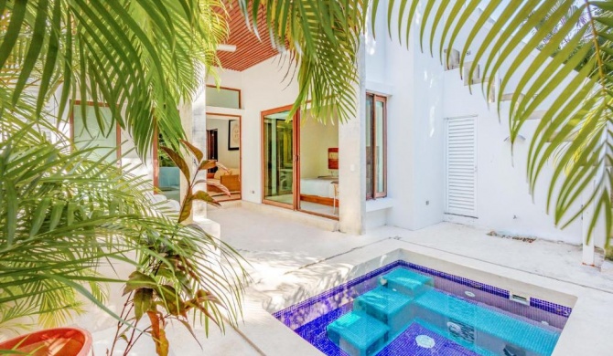 Fantastic escape with private terrace & plunge pool!