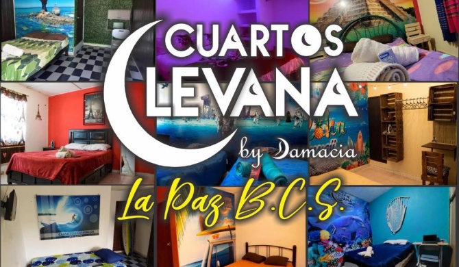 CUARTOS LEVANA LA PAZ